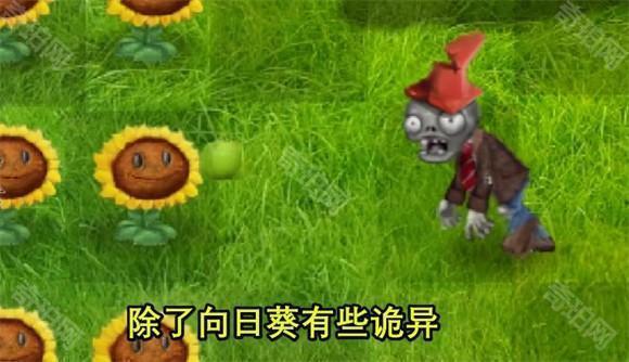 植物大战僵尸真实版