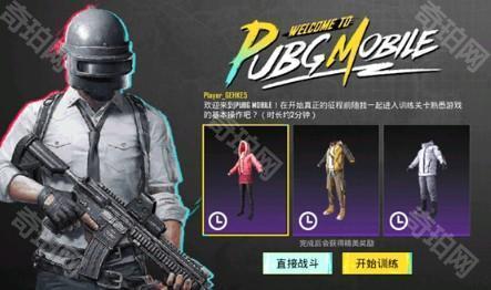 pug国际服务(PUBG MOBILE)手游官方免费下载