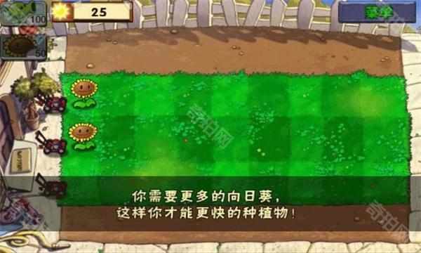 植物大战僵尸无尽版