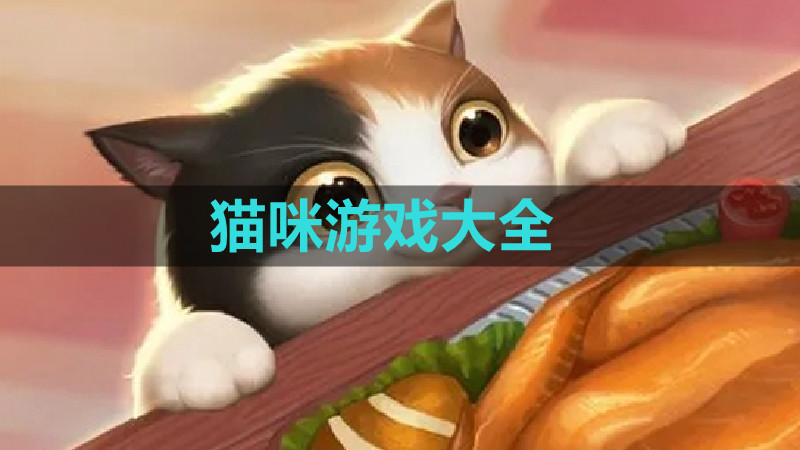 猫咪