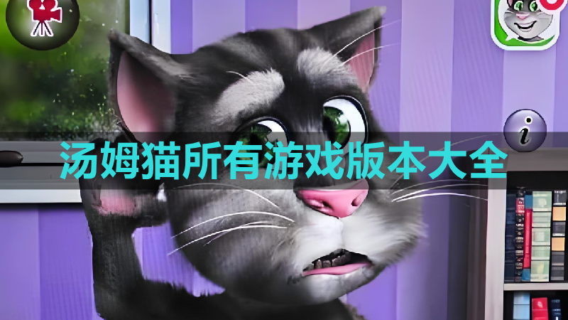 汤姆猫