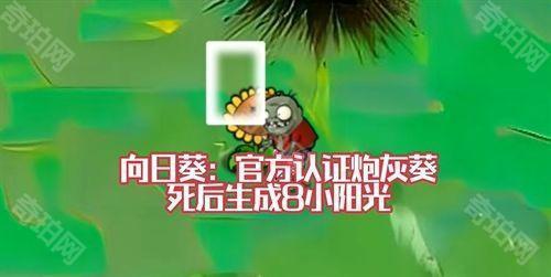 植物大战僵尸风韵版