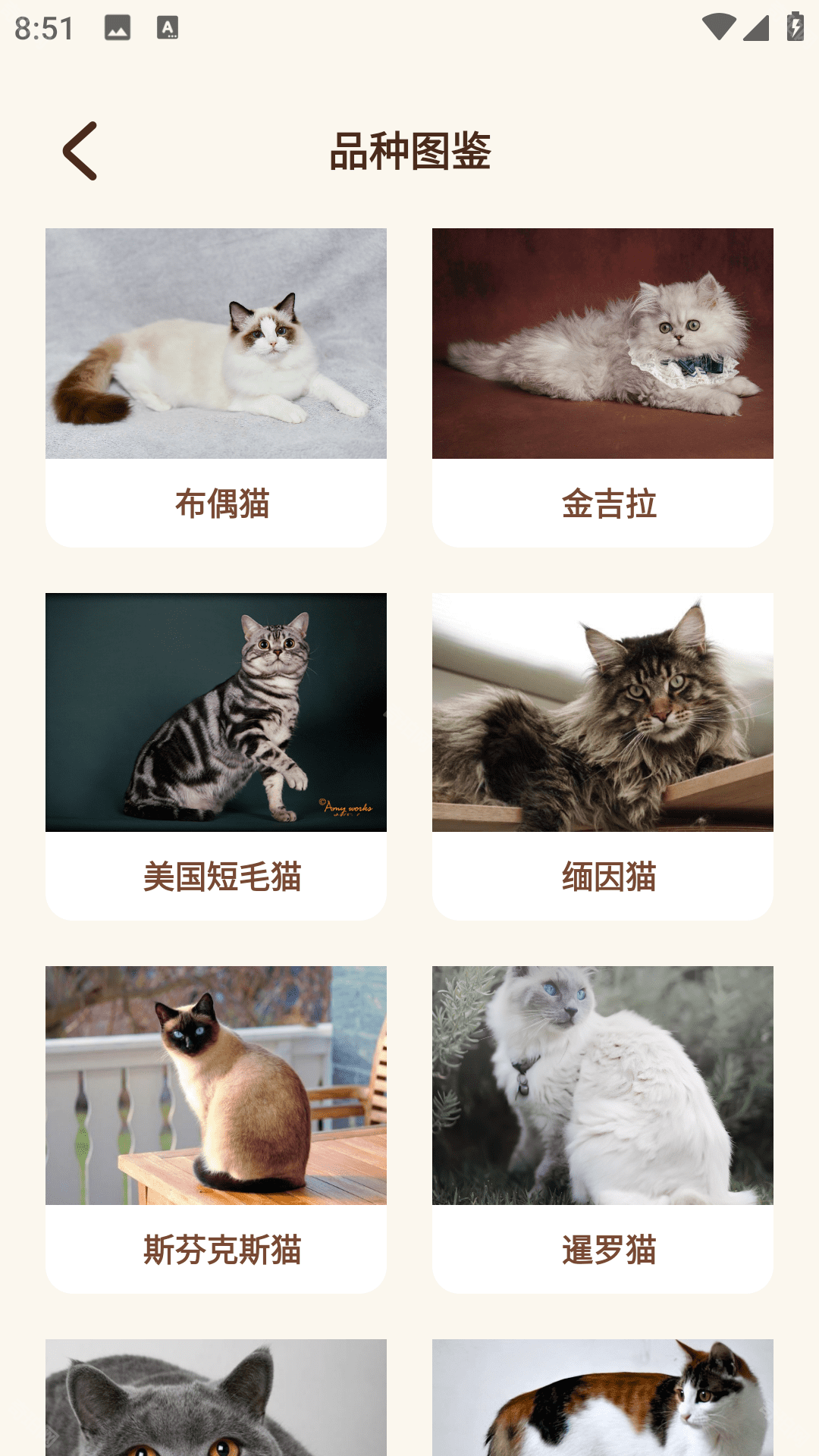 Peppycat猫语翻译器app