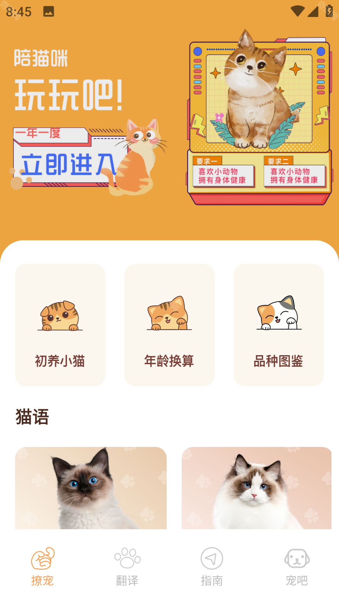 Peppycat猫语翻译器app