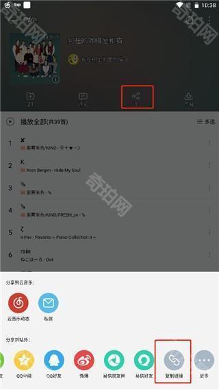 五音助手怎么导入网易云歌单图片11