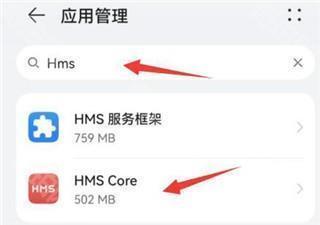 HMSCore软件怎么打开权限截图4