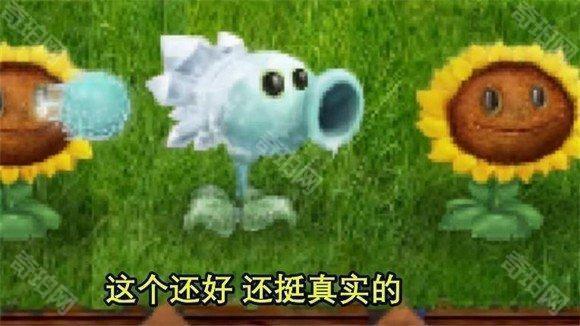 植物大战僵尸现实版