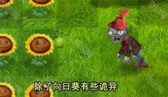 植物大战僵尸现实版