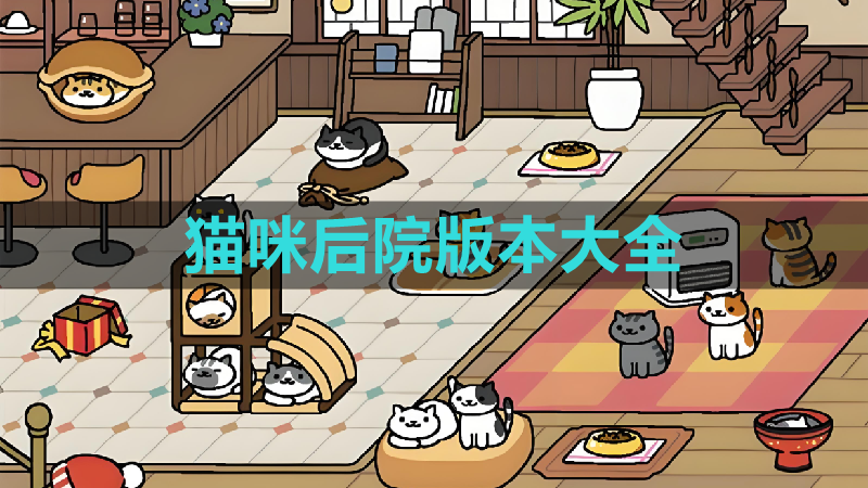 猫咪后院