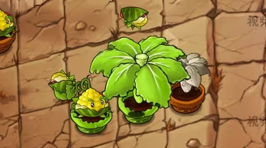 《植物大战僵尸融合版》新植物卷菜伞介绍