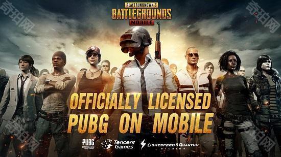 pubg小威国体插件