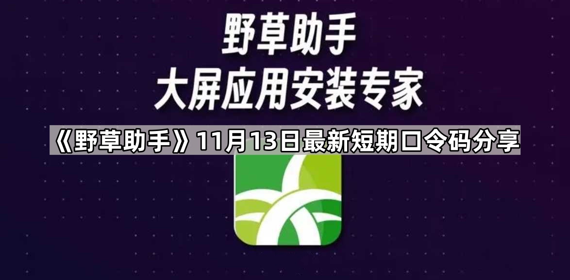 《野草助手》11月13日最新短期口令码分享