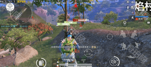 蓝电直装科技PUBG免root版