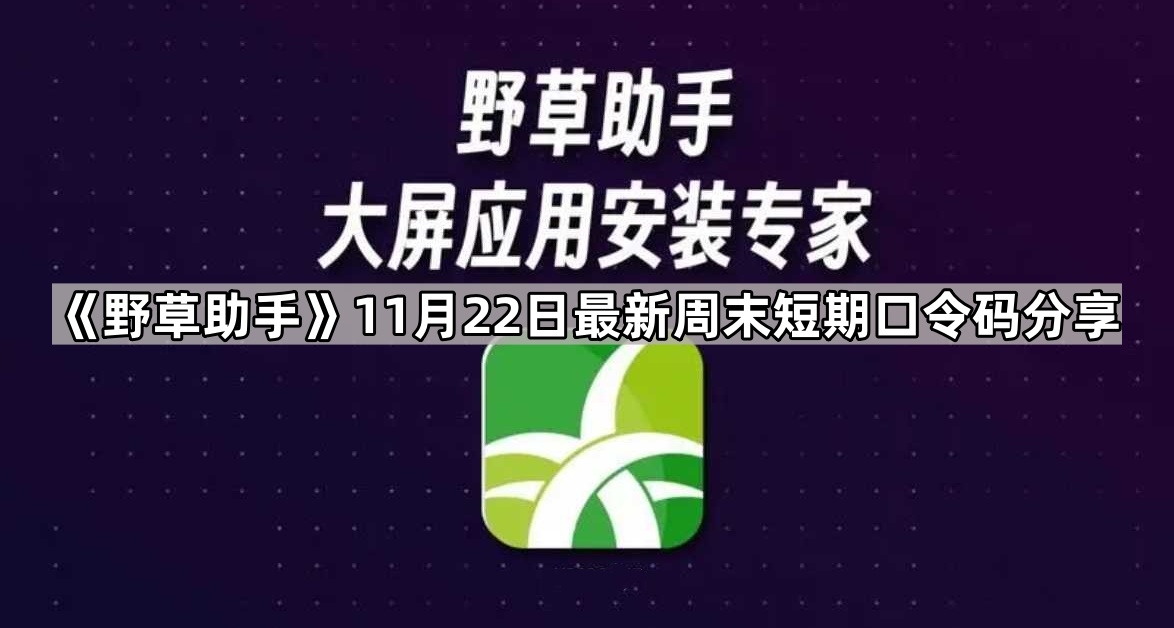 《野草助手》11月22日最新周末短期口令码分享