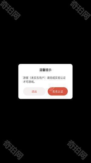 游戏攻略截图1