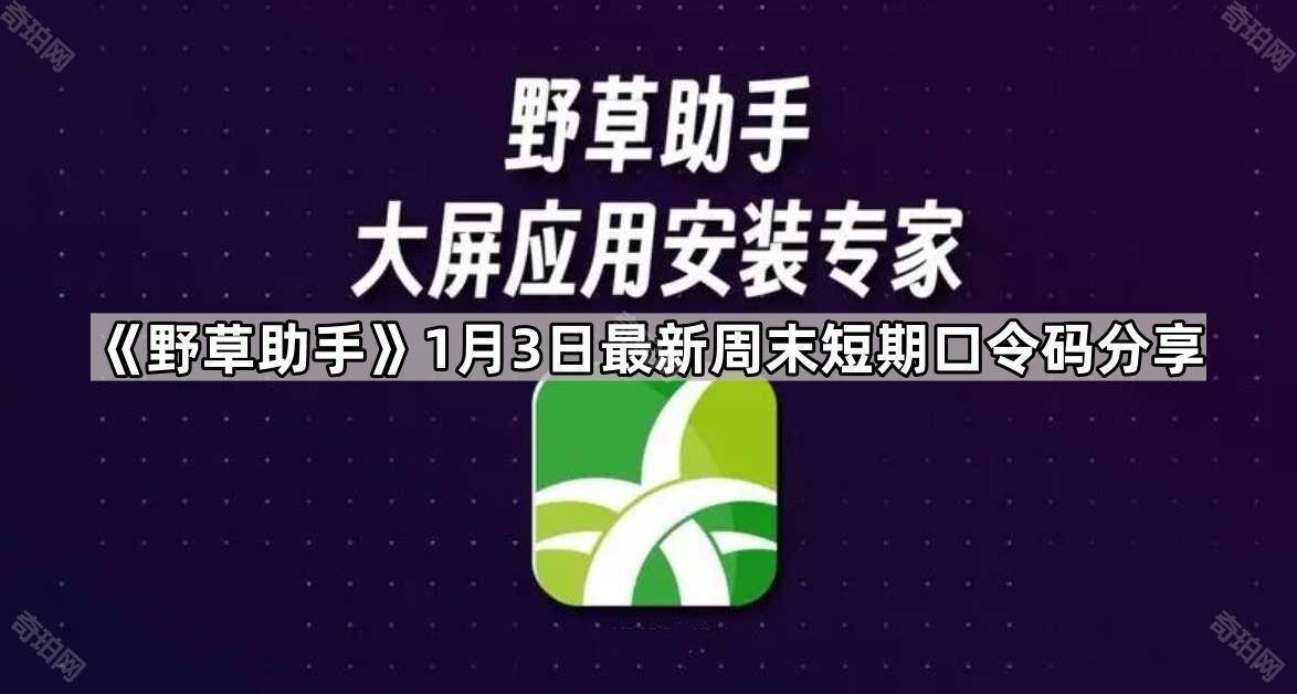 《野草助手》1月3日最新周末短期口令码分享