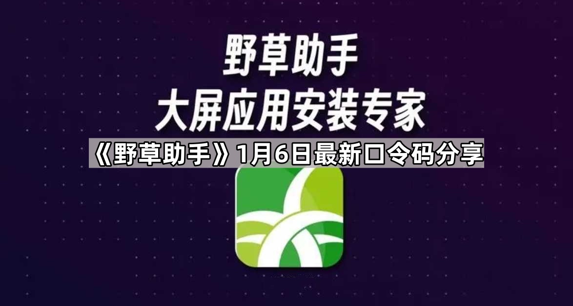 《野草助手》1月6日最新口令码分享