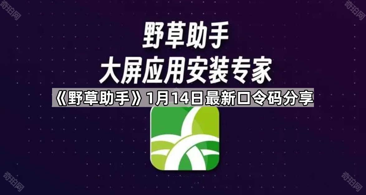 《野草助手》1月14日最新口令码分享