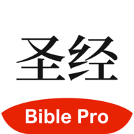 bible project