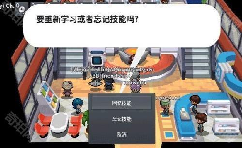 pokemmoROM包怎么换技能2