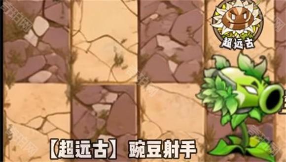 植物大战僵尸神奇植物版