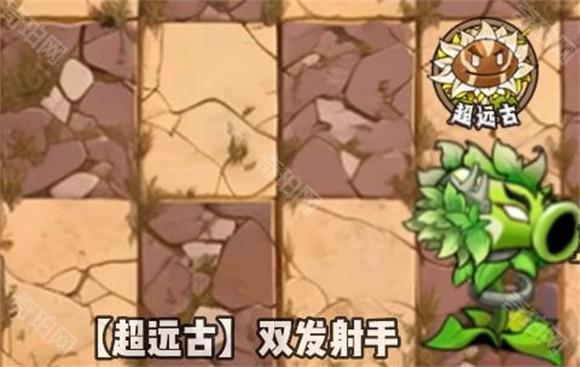 植物大战僵尸神奇植物版