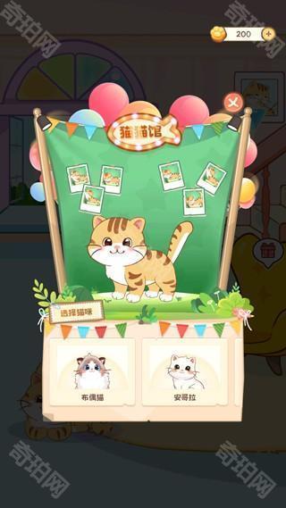 桌面喵可以养两只猫吗1