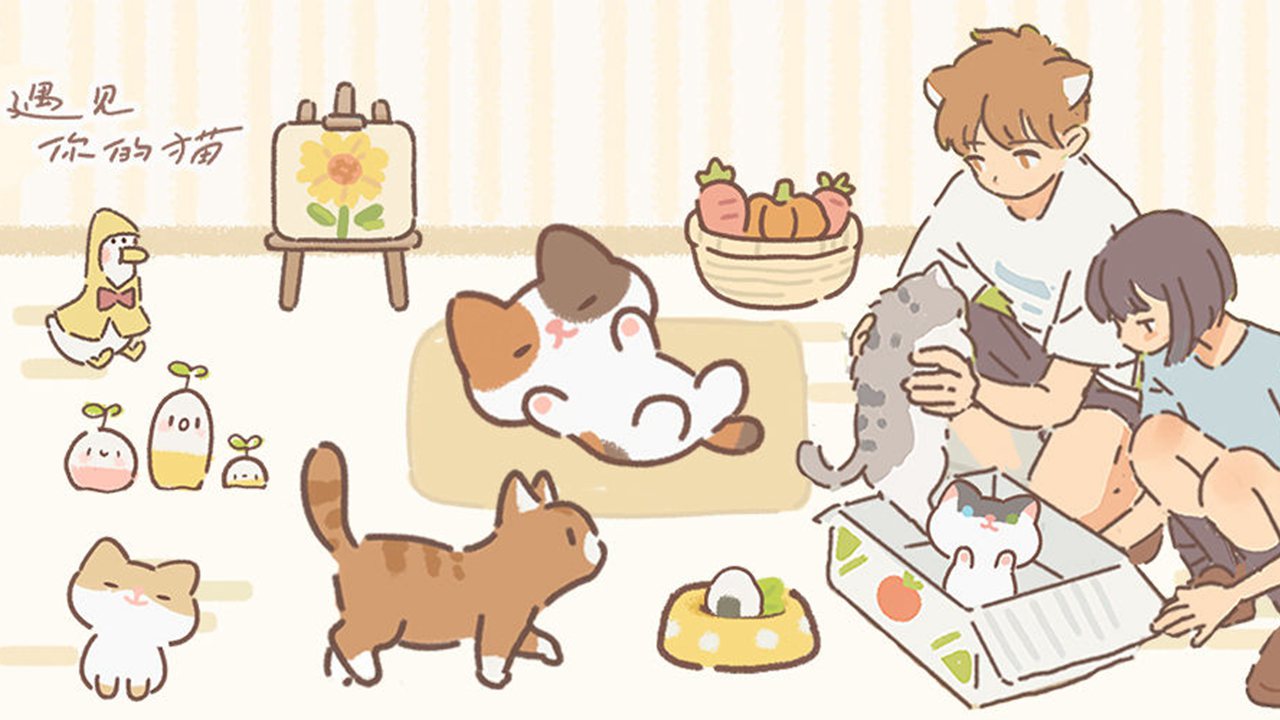 遇见你的猫无广告