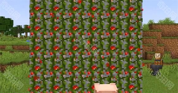 Minecraft国际版