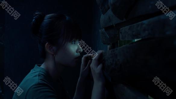 飞越13号房手机版