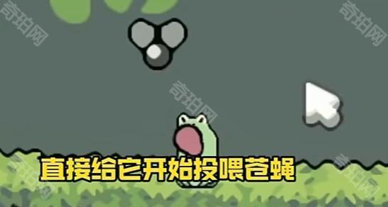 蛙蛙养殖场中文版
