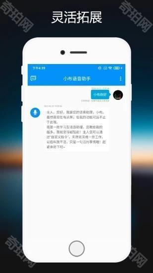 小布指令2025最新版
