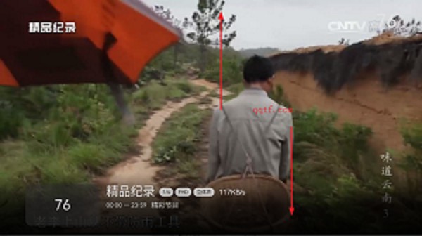 小飞电视app最新版