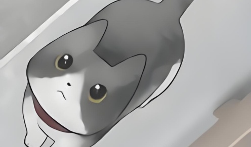 迷途猫