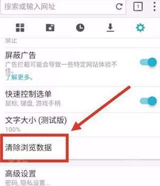puffin浏览器2025最新版