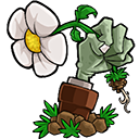 植物大战僵尸E版支线