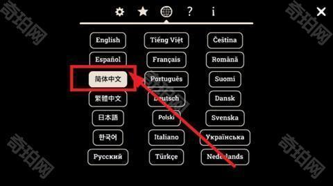 兔子先生的魔术秀