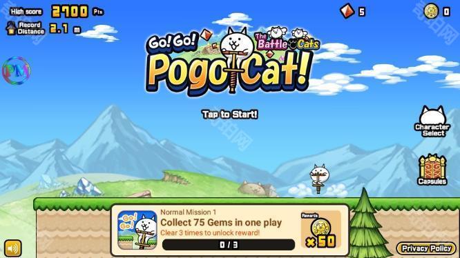 猫咪大弹跳
