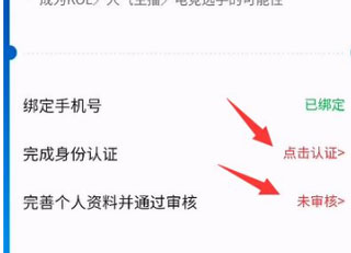 皮皮陪玩最新版