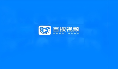 百搜视频