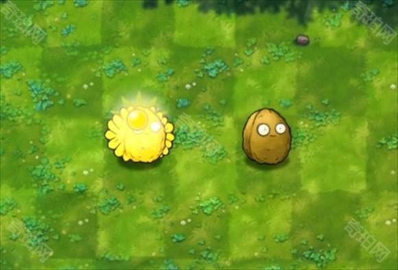 植物大战僵尸融合版