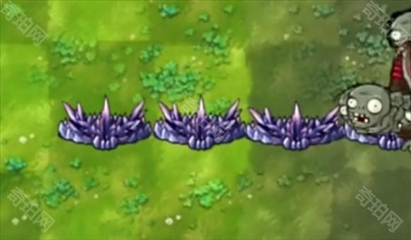 植物大战僵尸融合版