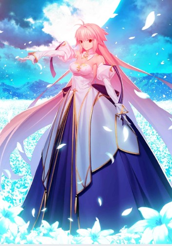 命运冠位指定b站版