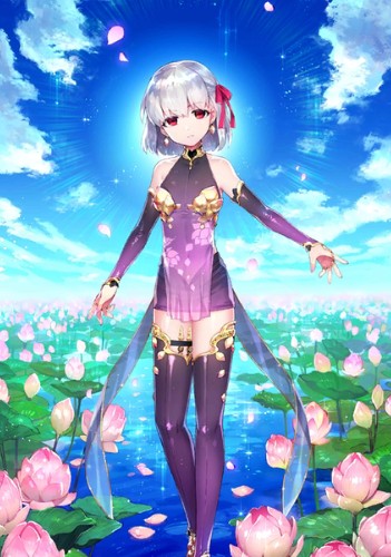 命运冠位指定b站版