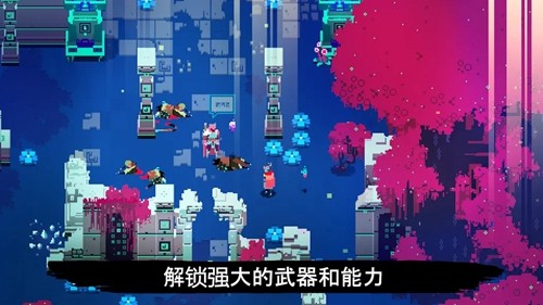 光明旅者手机版