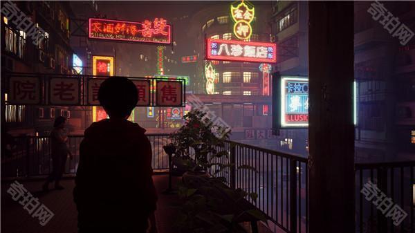 野狗子