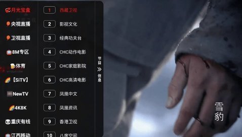 麦芽影视