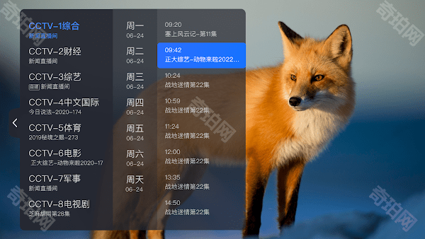 电视家海外版