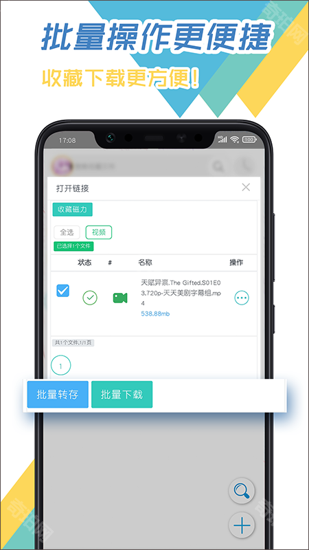 飞鸟下载器最新版