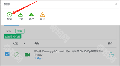 飞鸟下载器最新版